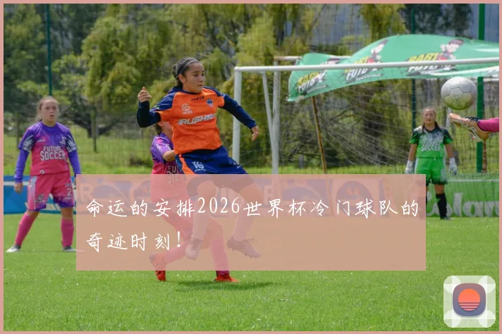 命运的安排2026世界杯冷门球队的奇迹时刻！