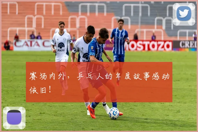 赛场内外，乒乓人的年度故事感动依旧！
